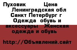 Пуховик Fendi › Цена ­ 14 900 - Ленинградская обл., Санкт-Петербург г. Одежда, обувь и аксессуары » Женская одежда и обувь   